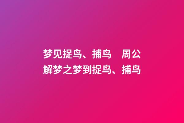 梦见捉鸟、捕鸟　周公解梦之梦到捉鸟、捕鸟